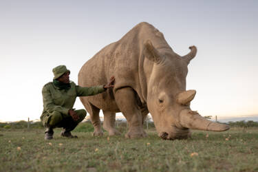 Wildlife photographs by Lara Jackson for Nikon magazine's two articles interviewing Lara. For magazine only.